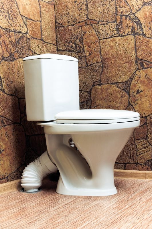 Toilet Repair